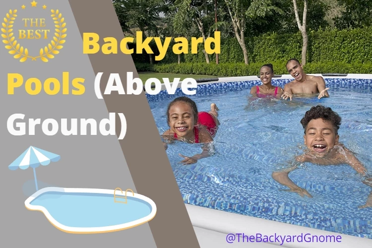 Best Backyard Pools: Reviews, Buying Guide and FAQs 2023