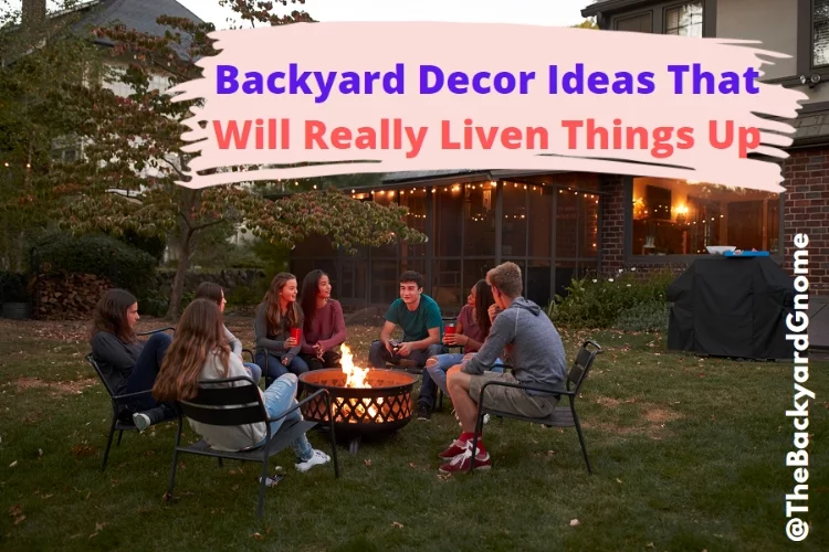 Backyard Decor Ideas That Will Really Liven Things Up