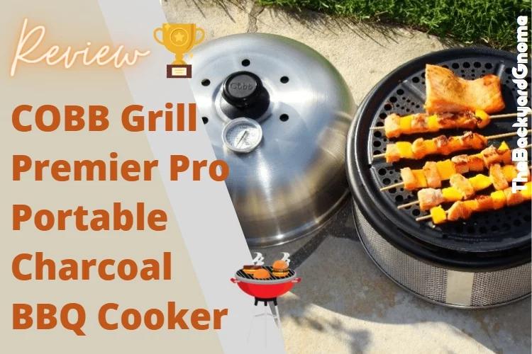 Our Review of COBB Grill Premier BBQ (Pro, Plus, Air), Sauter Pan, Grid 2023 with Buying guide