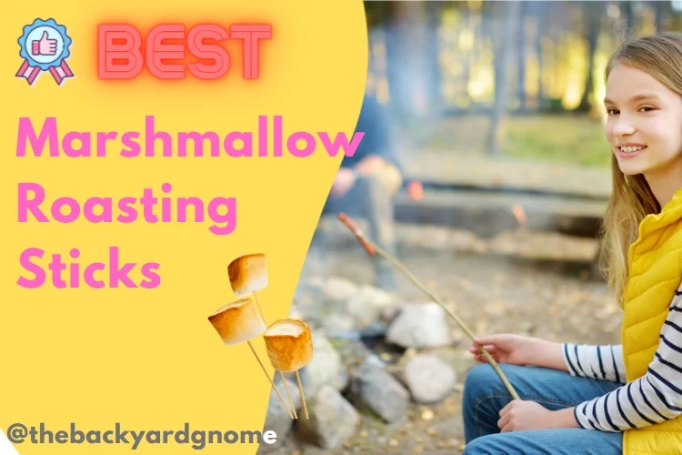 Top 5 Best Marshmallow Roasting Sticks: Reviews 2022