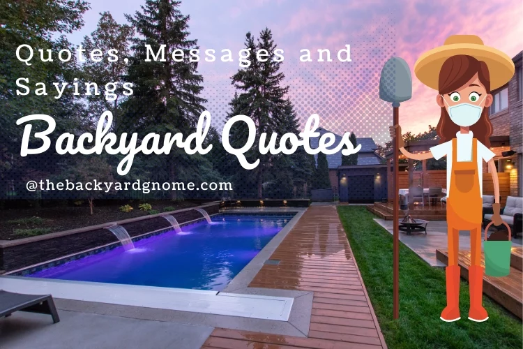 Backyard Quotes, Messages and Sayings that You Should Know