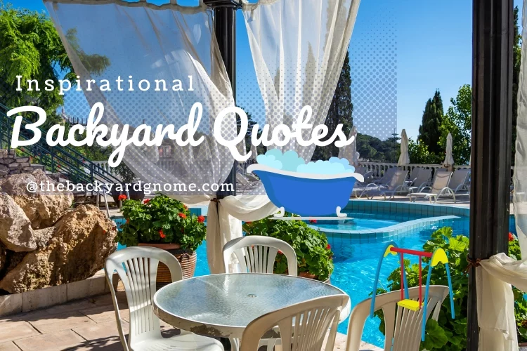 Inspirational Backyard Quotes