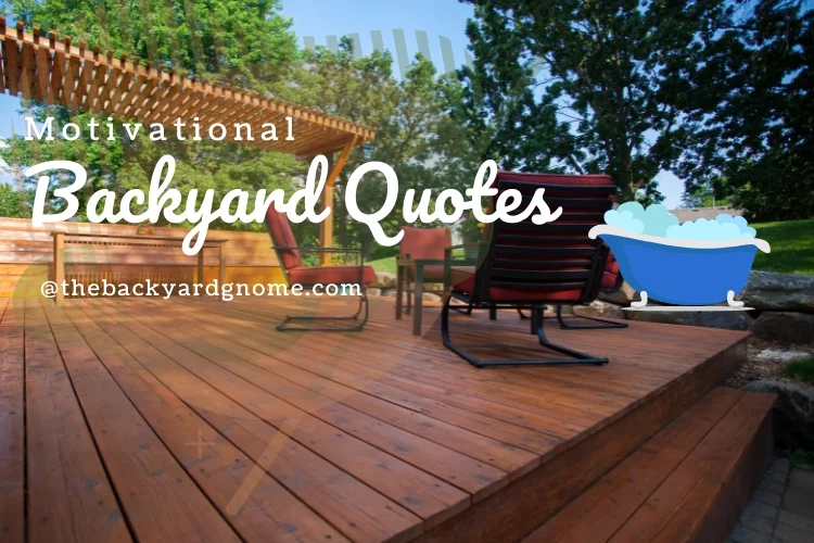 Motivational Backyard Quotes