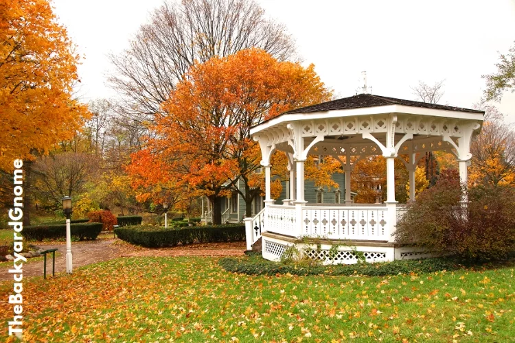 White Gazebo and autumn trees in the park