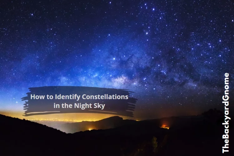How Can You Identify Different Constellations in the Night Sky?