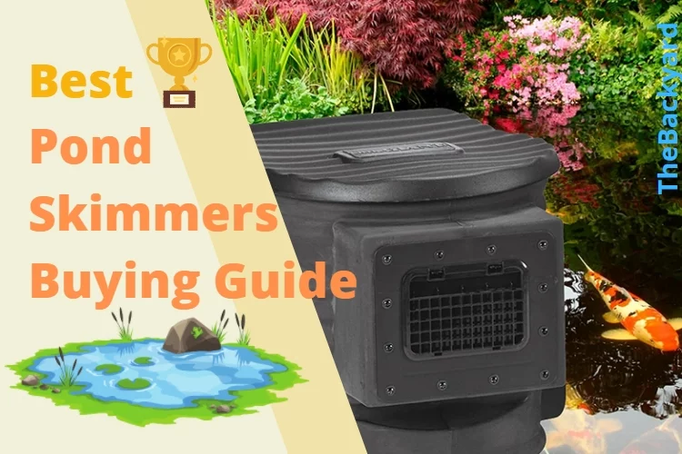 Best Pond Skimmer: Reviews, Buying Guide and FAQs