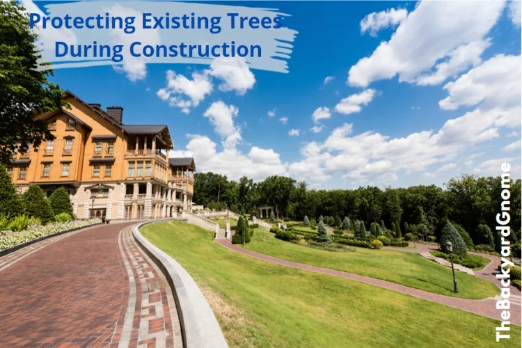 Protecting Existing Trees During Construction