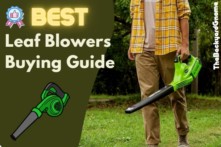 Top 5 Best Leaf Blower Reviews 2022