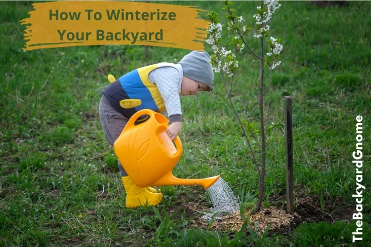 How To Winterize your Trees – Preparing for the Cold
