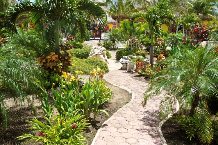 Later, Gardens Became a Place for People to Relax and Enjoy Nature