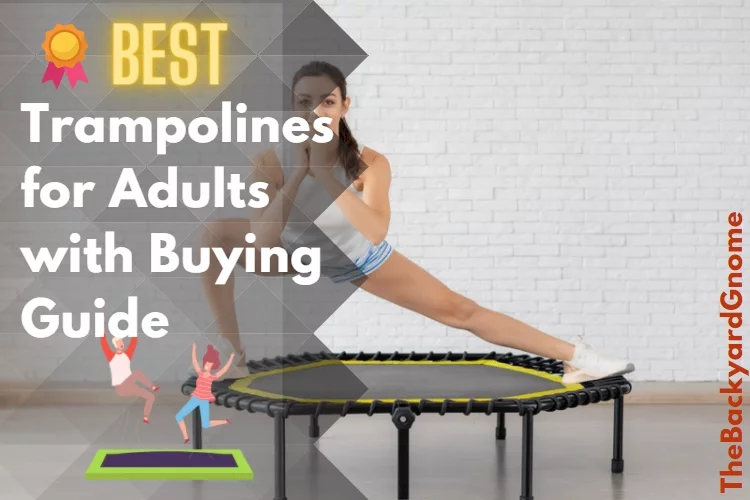 Best Trampolines for Adults in 2023 with Buying Guide - by an Expert