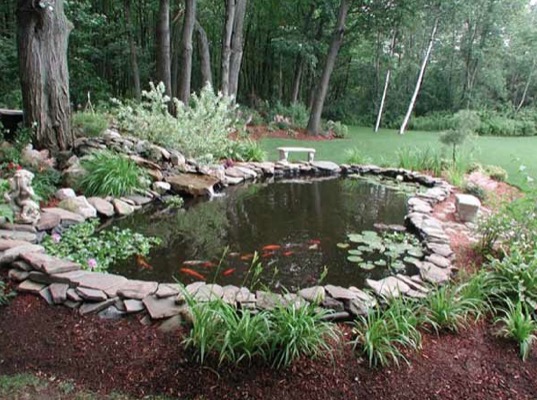 Best Location For A Garden Pond