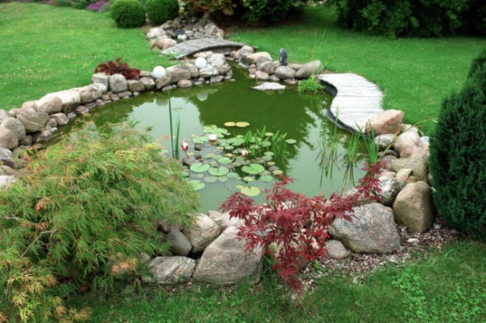 Backyard-pond-with-walkway