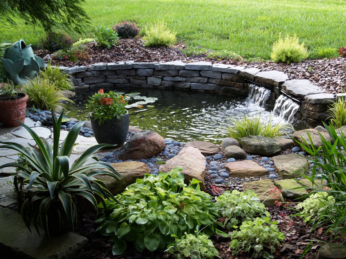 Best Location For A Garden Pond   Garden Pond 