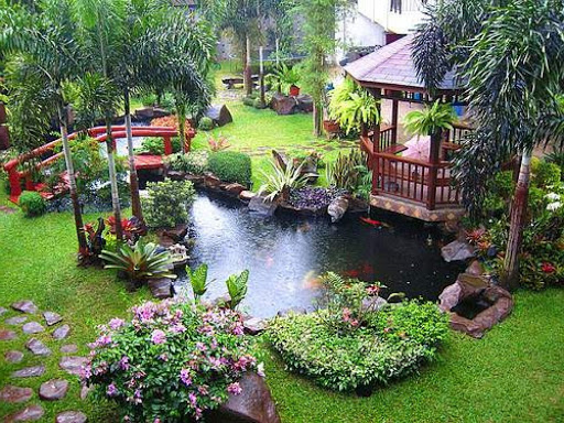 Modern Garden Pond