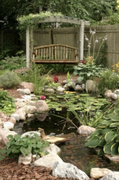 Pond-with-floating-plants