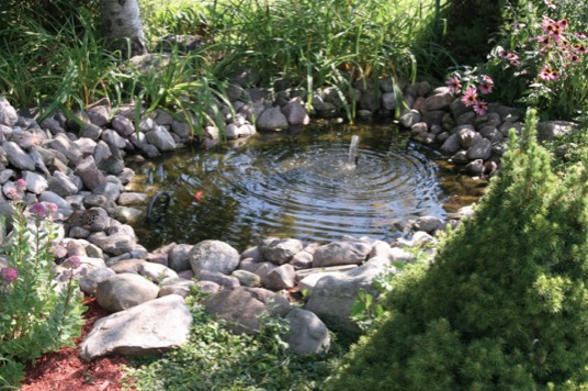 Soft-rippling-backyard-pond