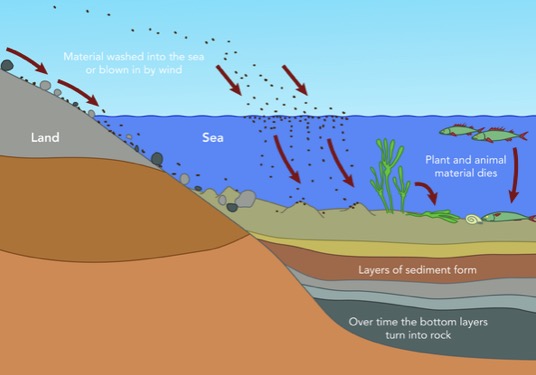 Formation-of-sedimentary-rocks