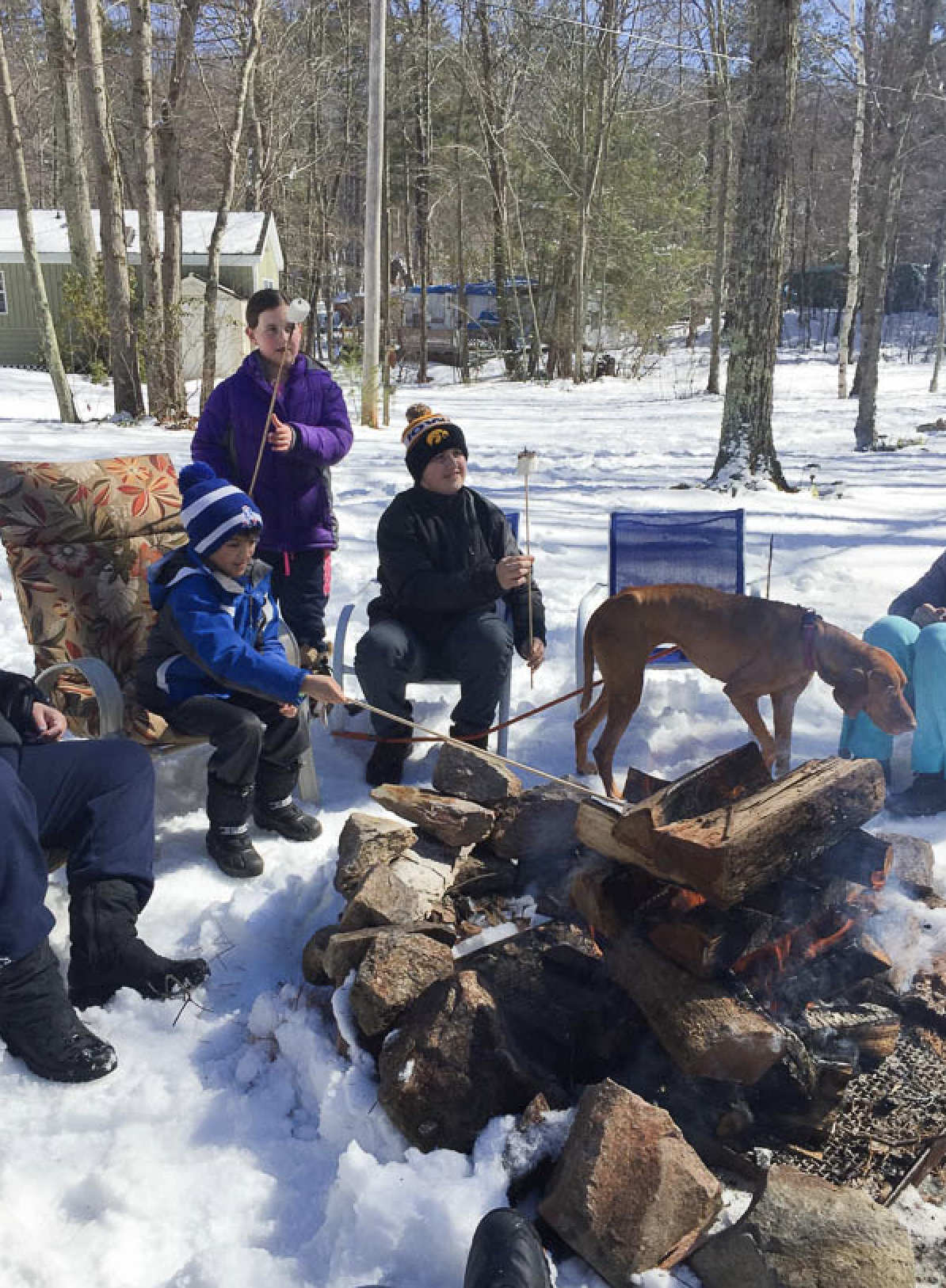 Fire Roast Marshmallows Winter Time