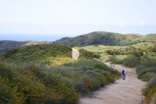 Hiking-in-laguna-coast