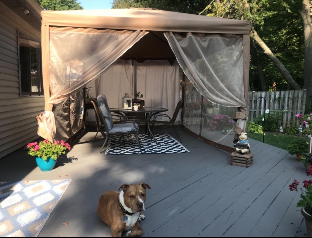 Abba Patio Mosquito Net Gazebo