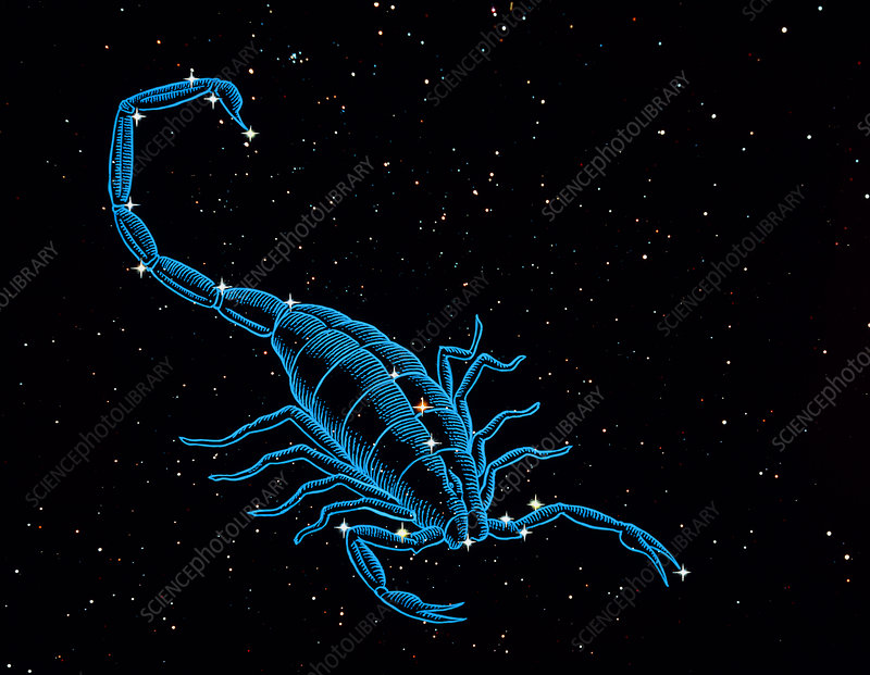 Scorpius, The Scorpion