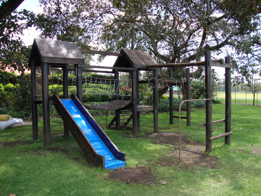 Jungle-gym-design