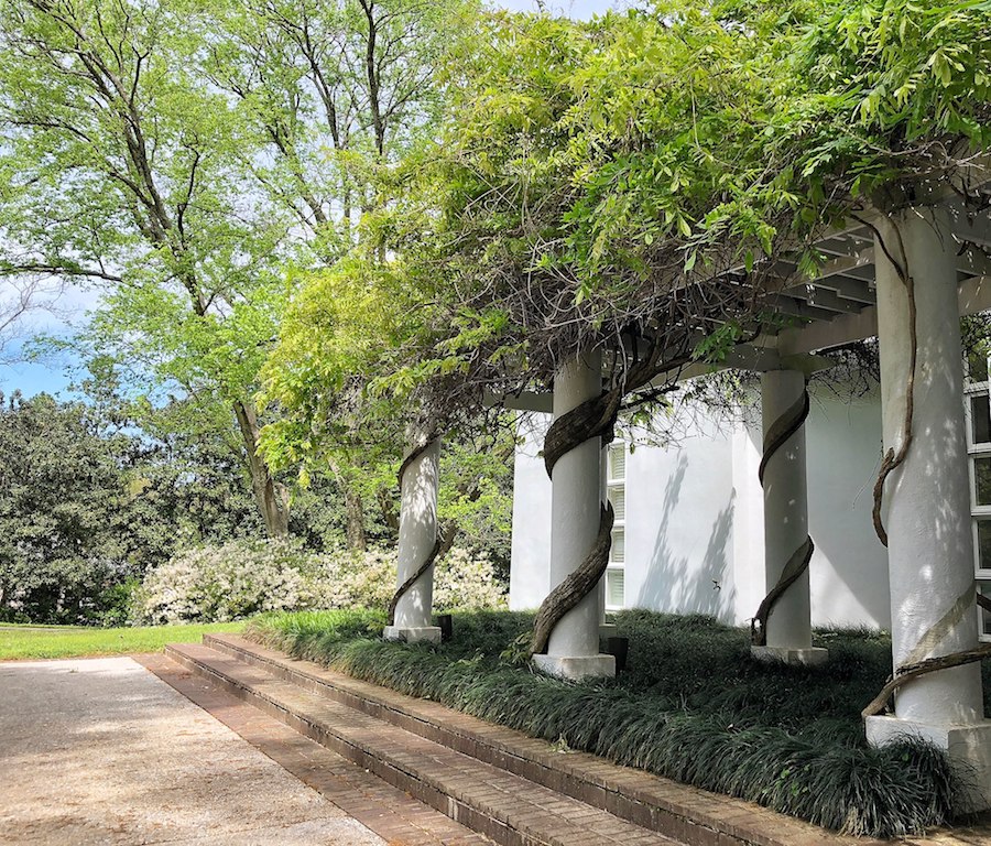 A pergola which has circular pillars made from cement