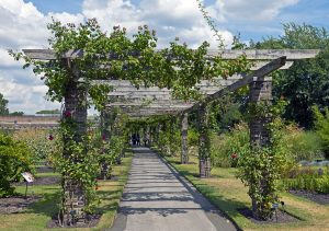 They can also act as a covering for a walkway