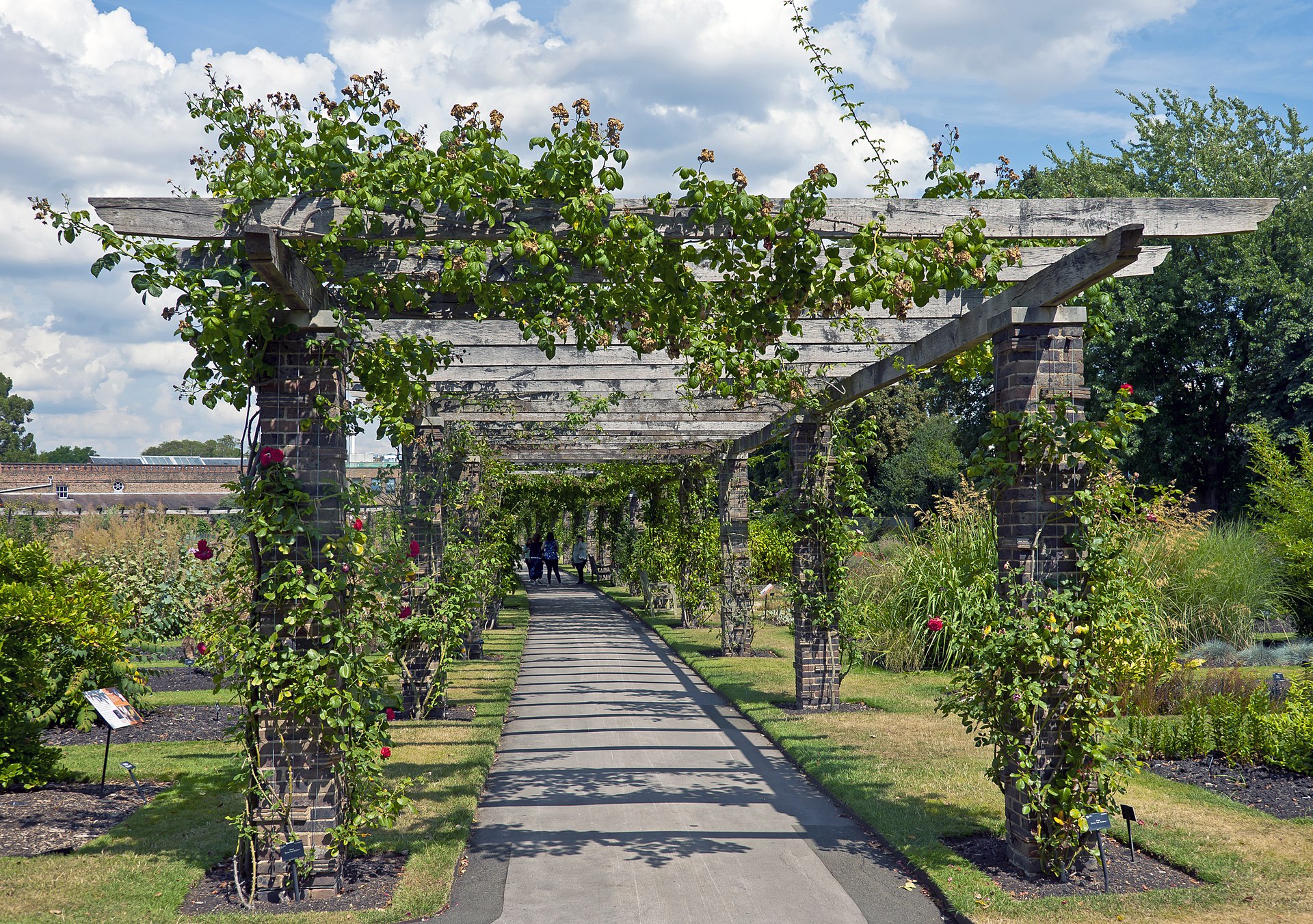 What is a Pergola and What is It Used for?