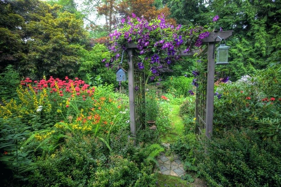 And Arbor with Plants and Flowers