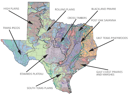 Ecoregions Of Texas