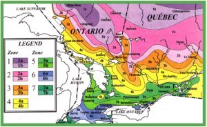 Tree Zones In Ontario Ca.