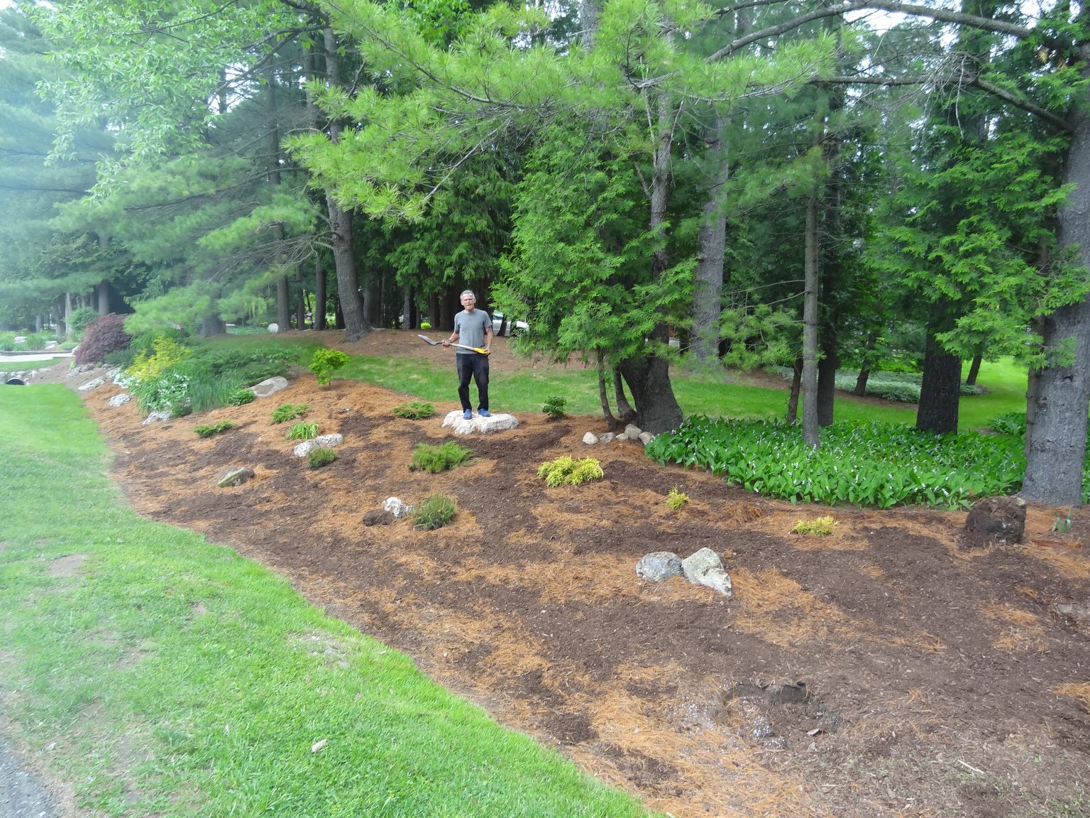 How To Move Indoor Plants Outside In The Summer (And Not Kill Them)