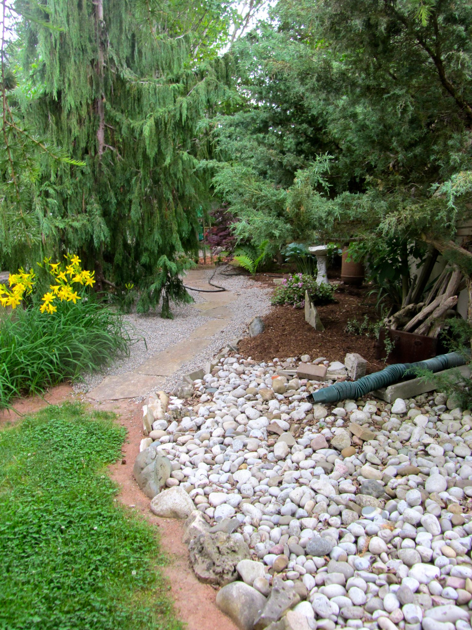 How To Move Indoor Plants Outside In The Summer (And Not Kill Them)