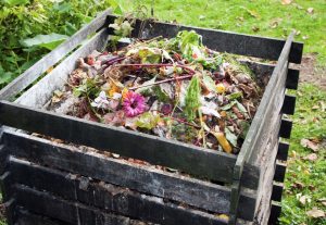 Backyard Compost