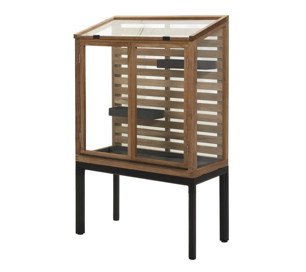 Moving Indoor Plants Outside In The Summer A Quick Guide